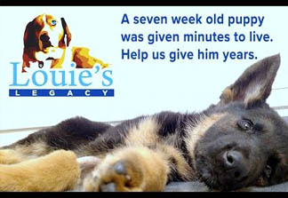 DOLLARS FOR DUNCAN