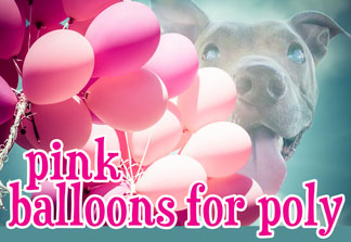 PINK BALLOONS FOR POLY