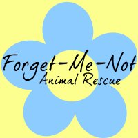 Sara, President/Forget-Me-Not Animal Rescue