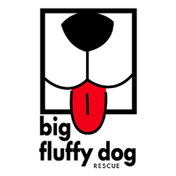 Estelle, Fundraising Chair, Big Fluffy Dog Rescue