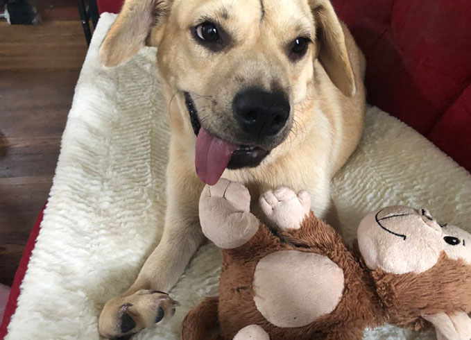 Hope For Harriet