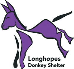 Shannon, Longhopes Donkey Shelter