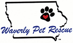 Sheri, Founder/Waverly Pet Rescue