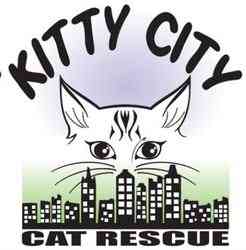 Vet Care for Kitty City Rescue Cats