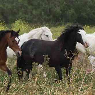 image01