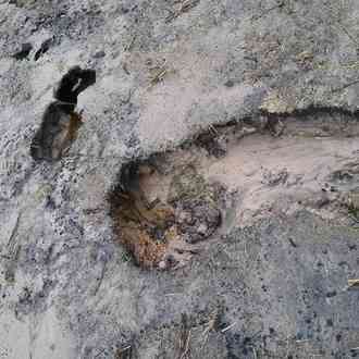 image01