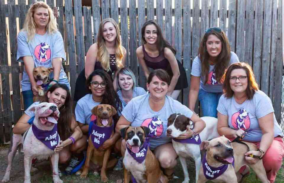 Dallas DogRRR Holiday Grid of Love