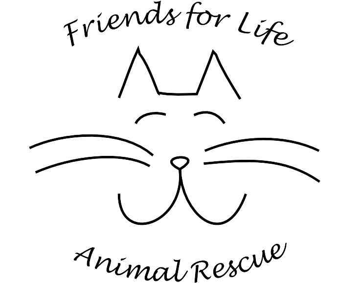 You help us help the animals!
