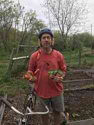 Carrots By Cycle
