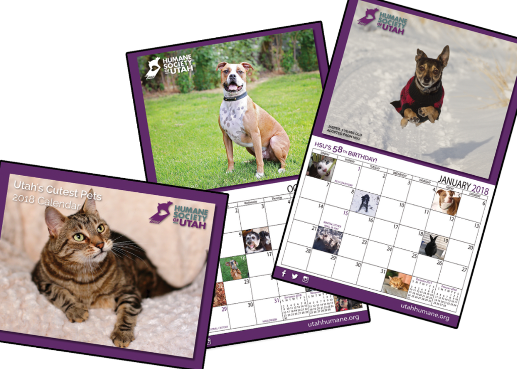 picture-your-pet-in-our-calendar