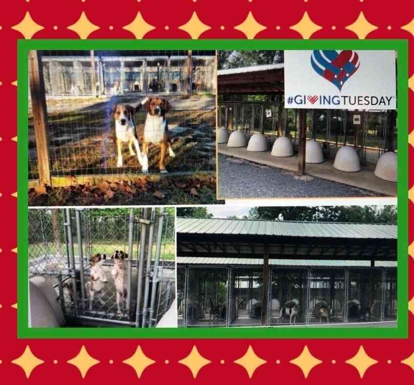 #GivingTuesday-24hrs of Giving Fun!