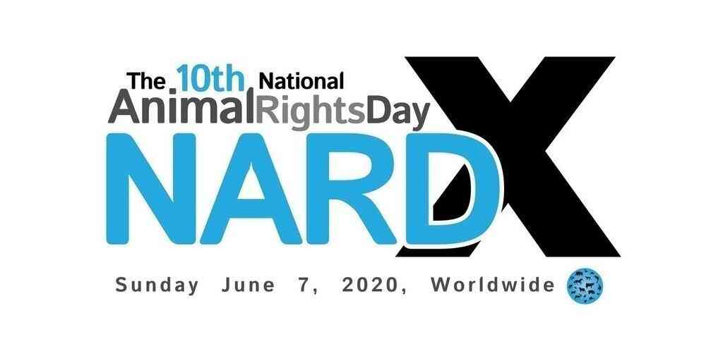NARD X NORTH CAROLINA 2020