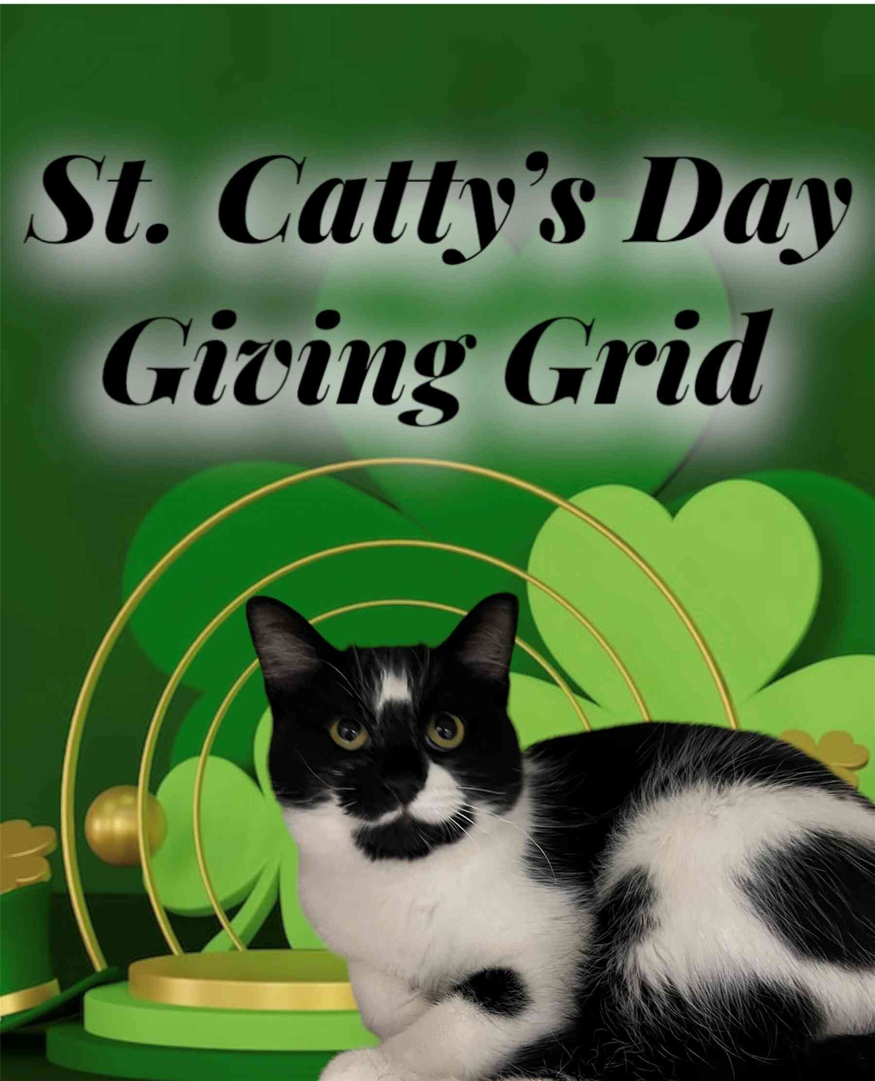 St. Catty's Day Giving Grid