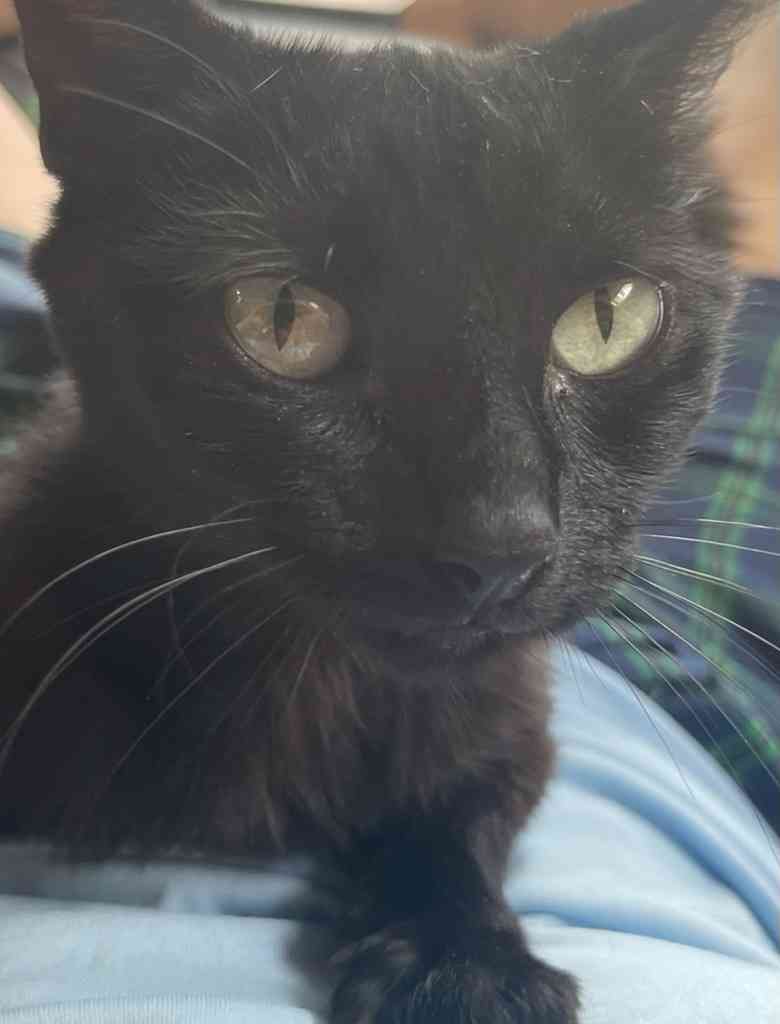 Help Needed ASAP for Charlie!