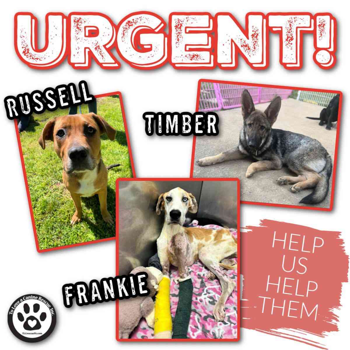 TLC's Road to Recovery