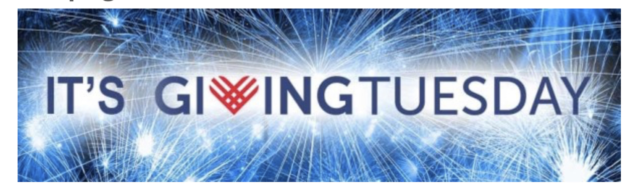 Giving Tuesday to Save the Boxers