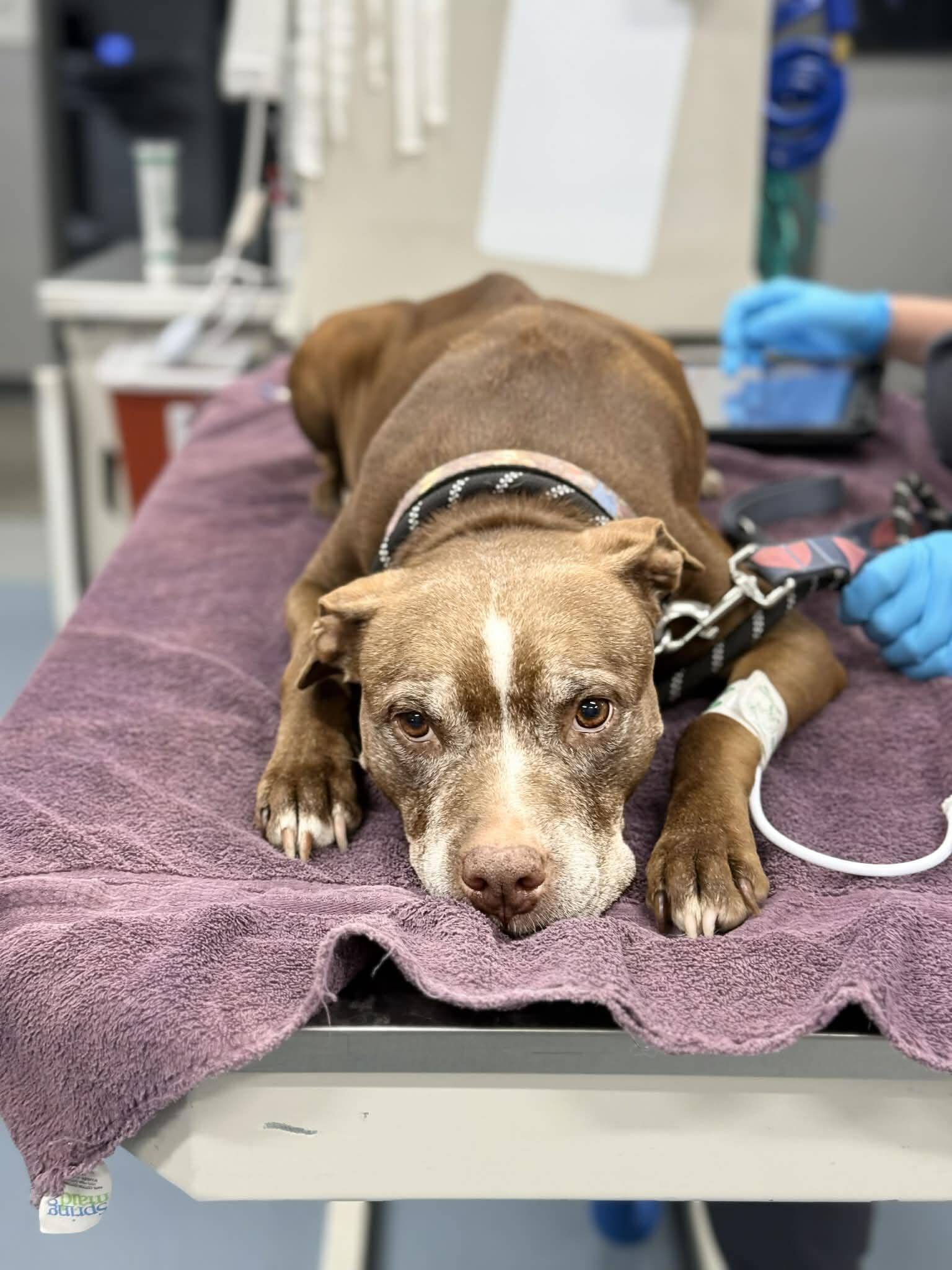 Moments in rescue that stop everything