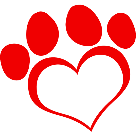 Valentines Day Paws